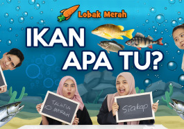 Ikan 3