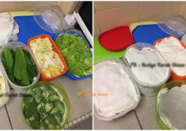 combine sayur