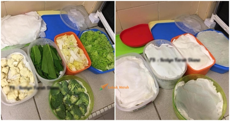 combine sayur