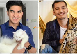 cats 2