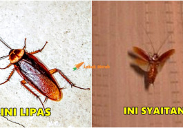 LIPAS SYAITAN