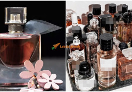 perfumetiruan
