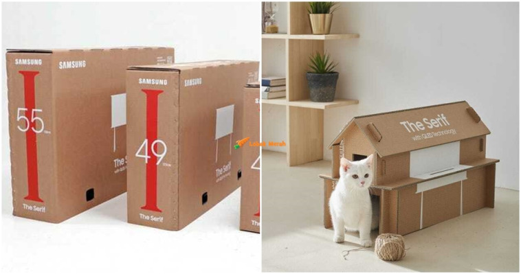 cats 40