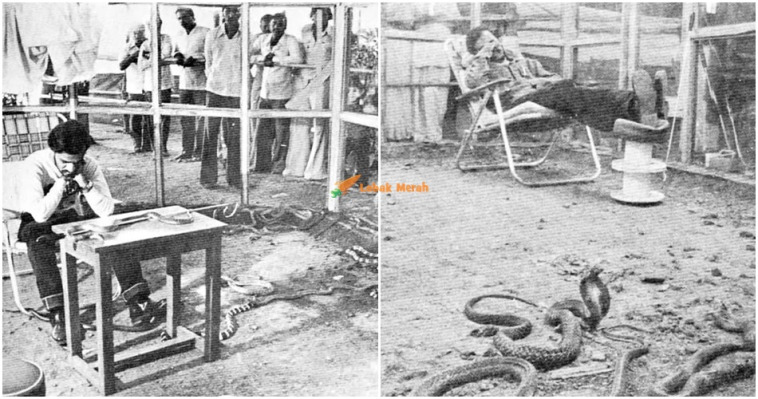 ft khairesnake