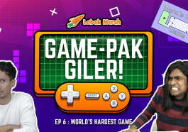 GAMEPAK WHG FB01