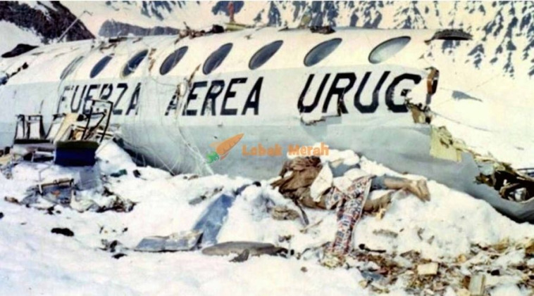 Alive Kisah Benar 16 Penumpang Pesawat Uruguayan Air Force Flight 571 Yang Makan Mayat Untuk Hidup