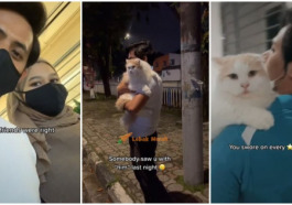 cats 4 e1639272318869