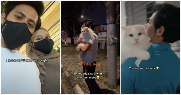 cats 4 e1639272318869