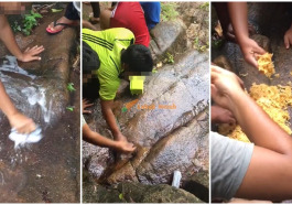 fi makan maggi atas batu