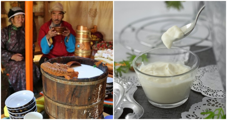 rahsia yogurt genghis khan