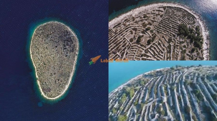 Fingerprint Island