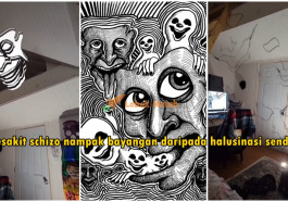 fi schizo 1