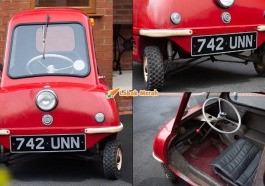 PeelP50