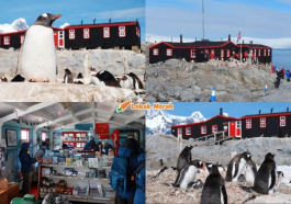 Port Lockroy