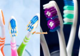 f2 colorful
