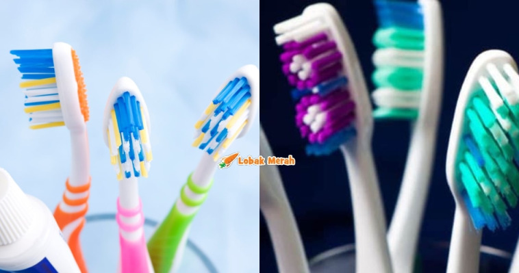 f2 colorful