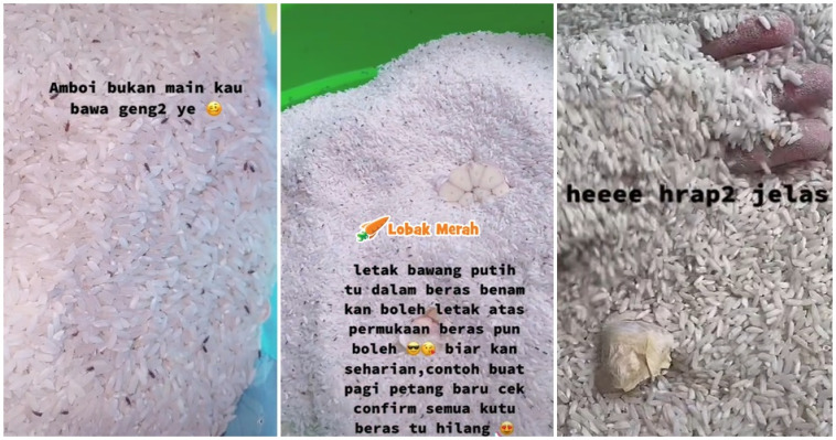 BAWANG PUTIH HALAU KUTU BERAS