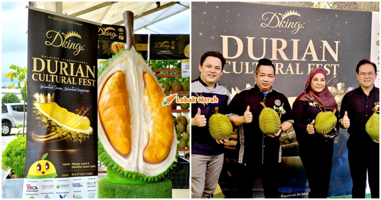 festival durian dkings