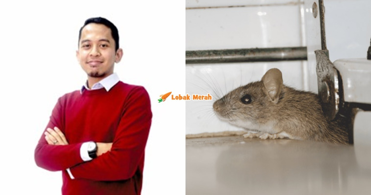 page tikus