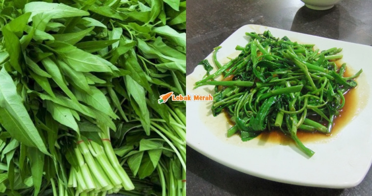 f3 kangkung us