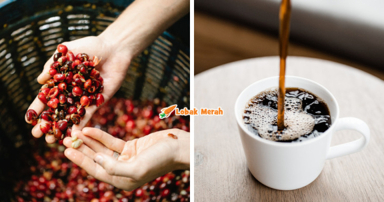 kopi mahal
