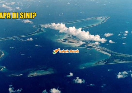 COVER 12
