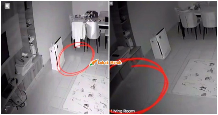 CCTV LEMBAGA