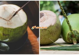air kelapa