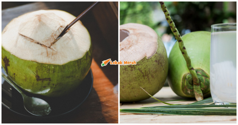 air kelapa