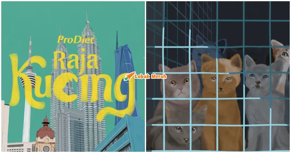 raja kucing prodiet