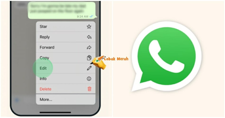 ft whatsapp edit