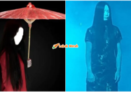 collage 18
