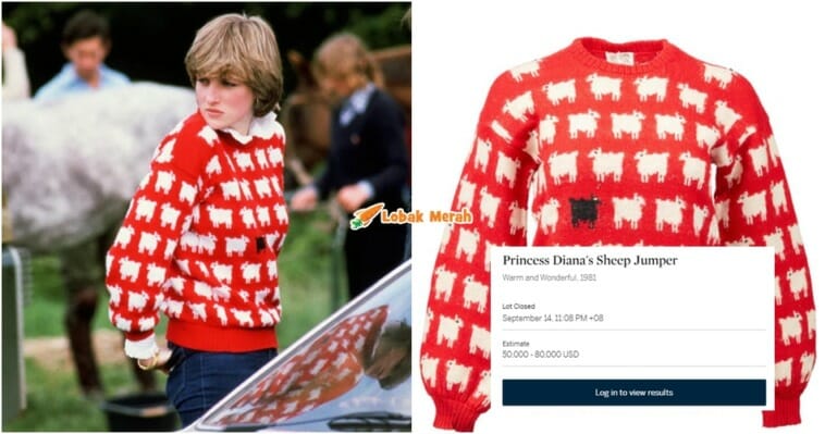 ft sweater princess diana