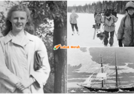 collage 19