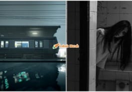 collage 5