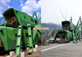 f4 kafe bentuk serangga belalang