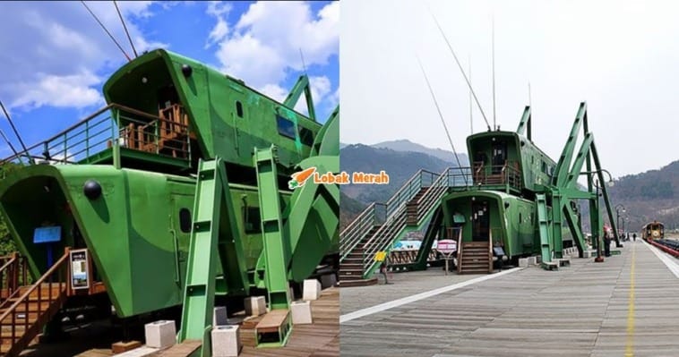f4 kafe bentuk serangga belalang
