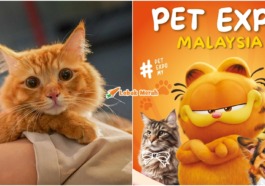 ft pet expo 2024