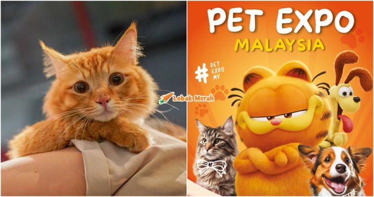ft pet expo 2024