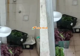 simpan sayur dalam tandas