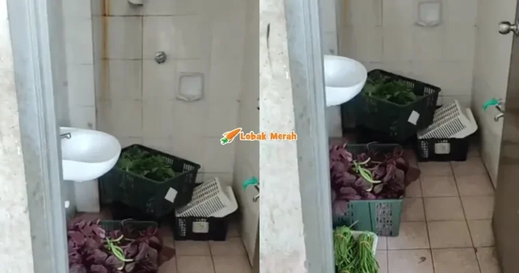 simpan sayur dalam tandas