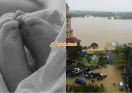 Meninggal Dunia