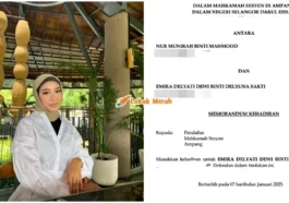 dewi lawan cik epal