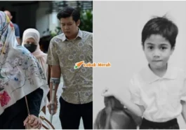 daun pulai tekak perut zayn rayyan