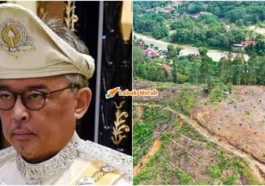 sultan pahang dukacita tanah diceroboh