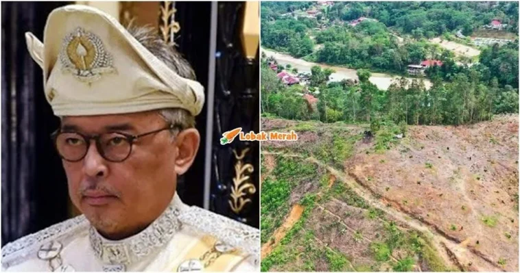 sultan pahang dukacita tanah diceroboh