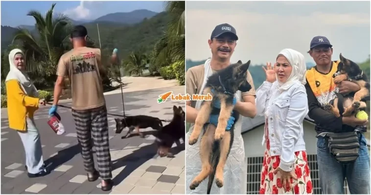 bonda rozita bela anjing