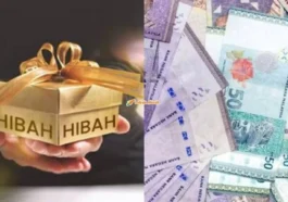 Hibah