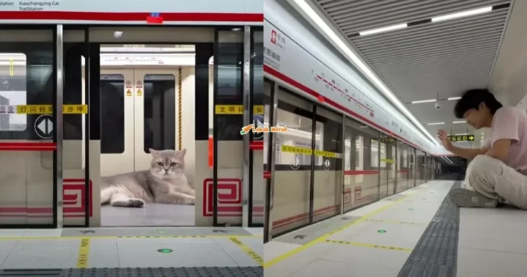 Stesen Kereta Api