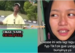 lagu cicak cikgu naim